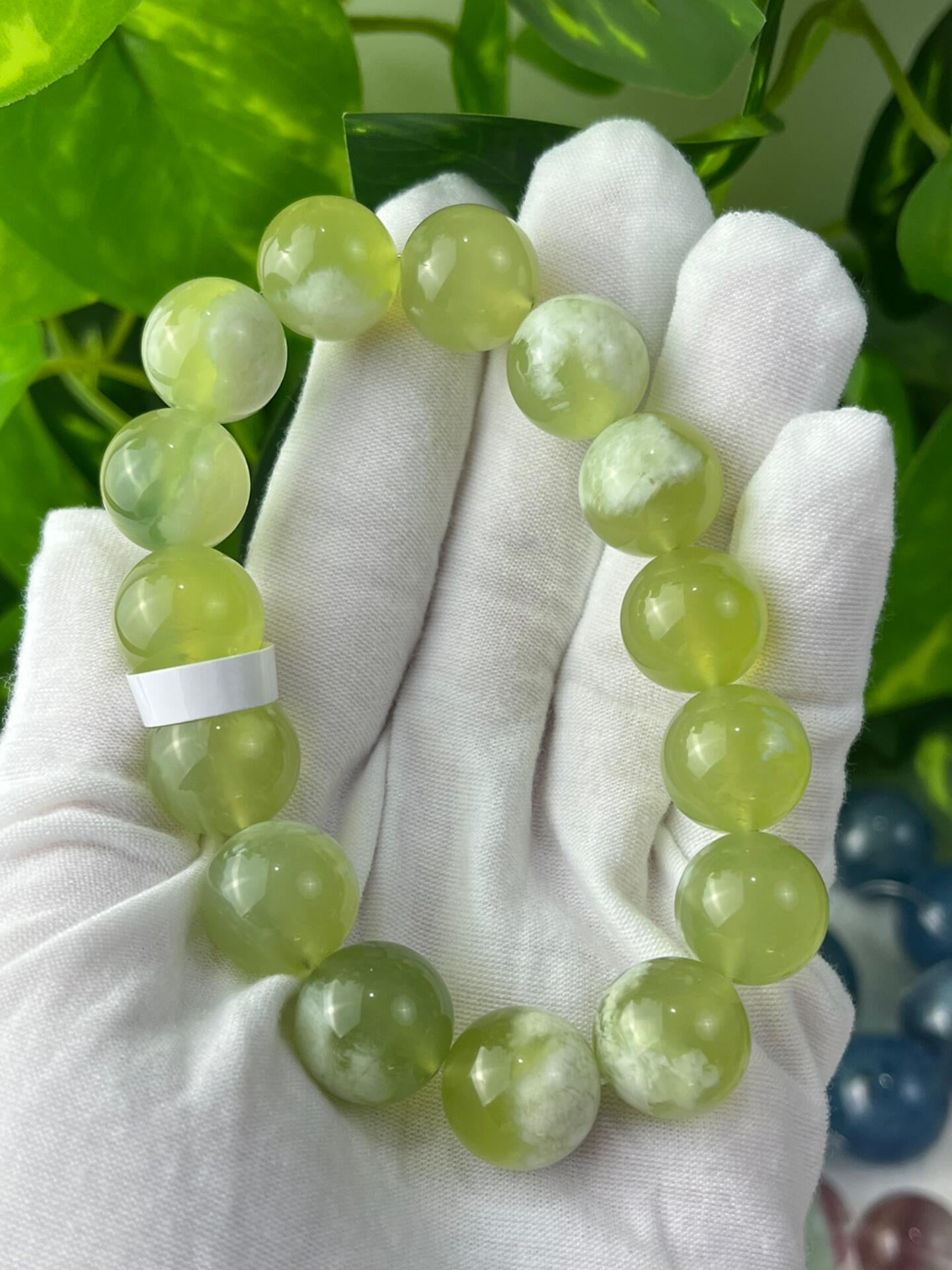 Green Grape Milk Cap Bracelet(buy2get1free)
